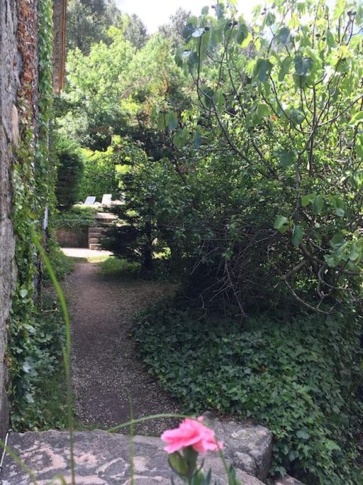 Grande Maison Familiale En Pierres Sud Ardeche Lalevade-dʼArdèche Exteriér fotografie